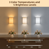 EZVALO EZWL04 Wall Light - EZVALO