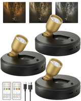 EZVALO Spotlight Indoor with Remote, 4000mAh Rechargeable Battery-Powered Plant Spot Lights, Wireless Mini Uplights with Dimmable & 3-CCT, Timer, Accent Lighting for Pictures, Art, Displays (2-Pack) - EZVALO